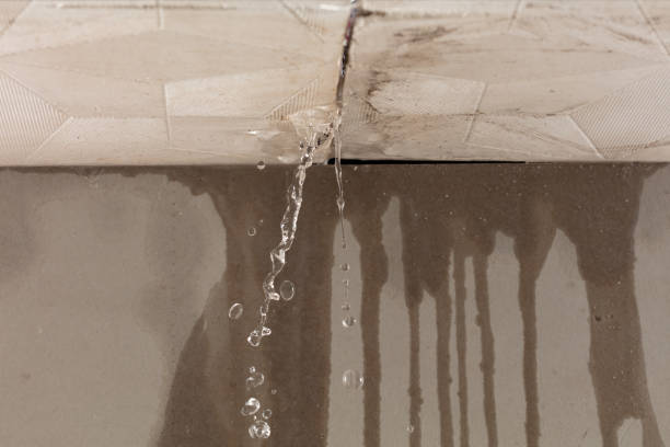 Professional Burst Pipe Cleanup technician working in Cresson, TX